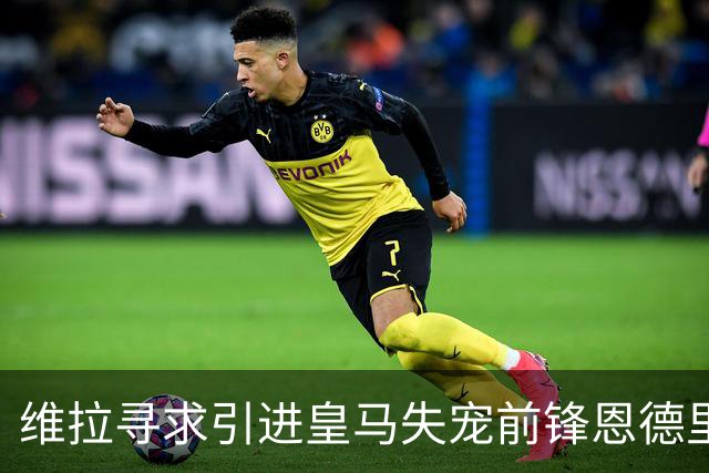维拉寻求引进皇马失宠前锋恩德里克
